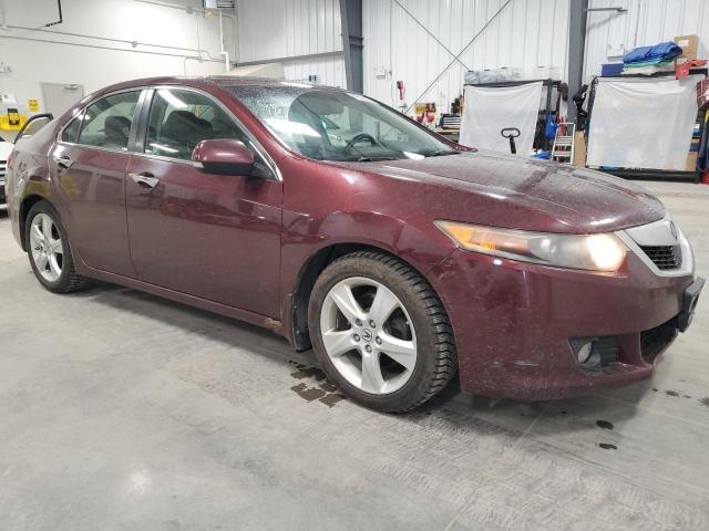 2009 Acura Tsx VIN: JH4CU26629C803282 Lot: 49369984