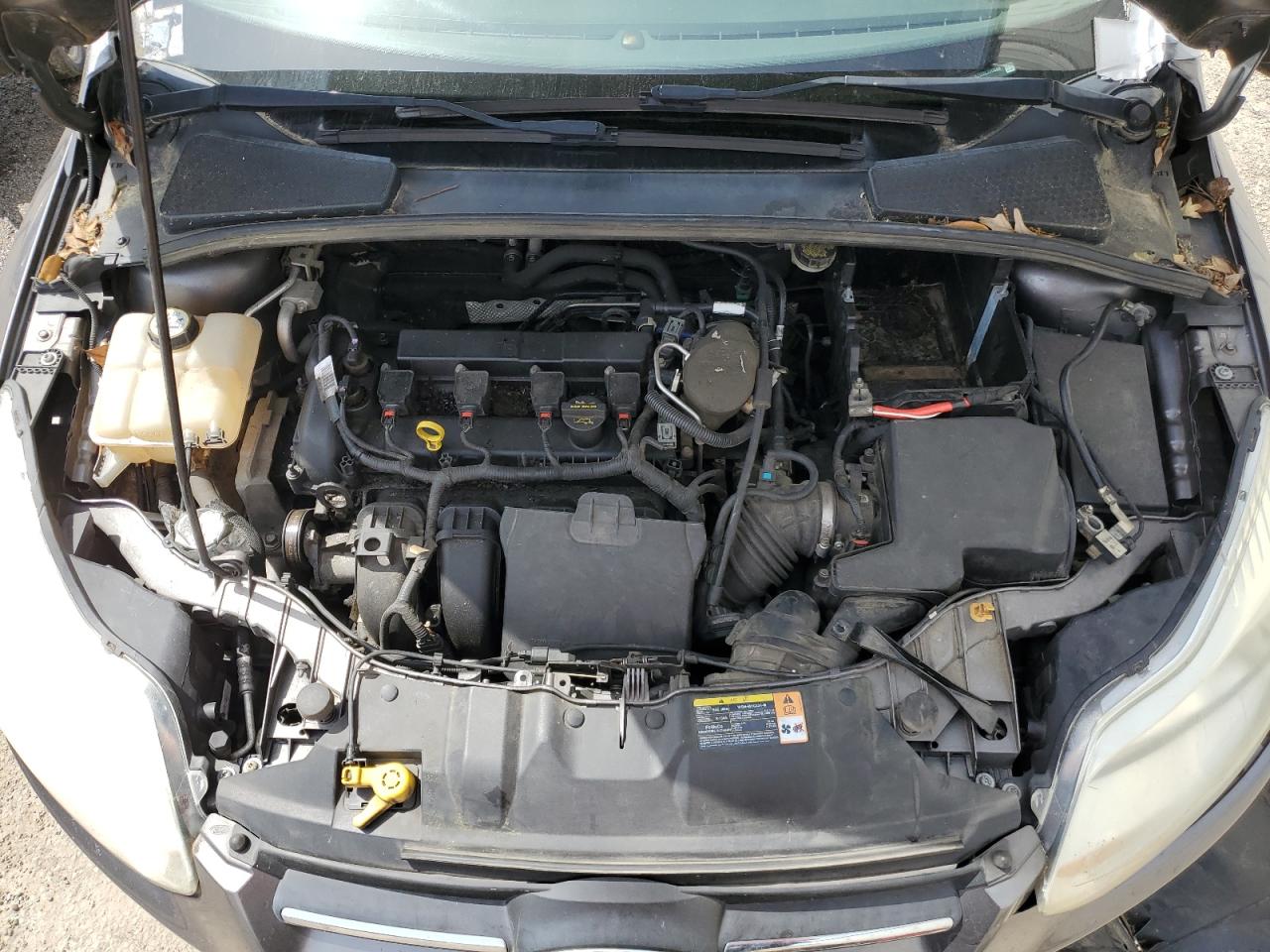 1FADP3K20DL330826 2013 Ford Focus Se