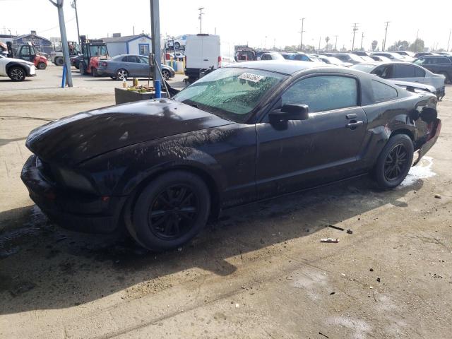 Lot #2517566038 2005 FORD MUSTANG salvage car