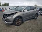 5NMZTDLB6HH002351 2017 Hyundai Santa Fe Sport