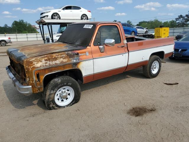 1977 CHEVROLET C/K 20 #2941031728