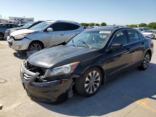 Lot #2518321030 2011 HONDA ACCORD EX salvage car