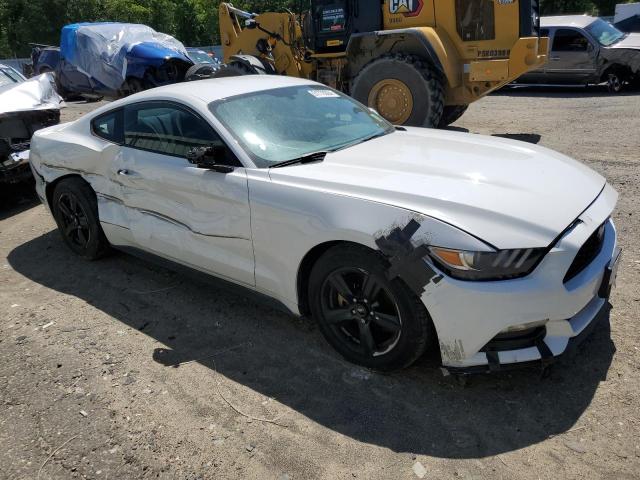 2017 Ford Mustang VIN: 1FA6P8AM7H5289520 Lot: 51778304