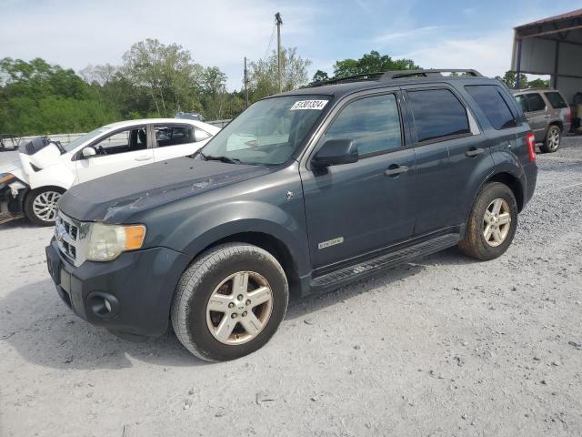 2008 Ford Escape Hev VIN: 1FMCU59H48KB58215 Lot: 51301324