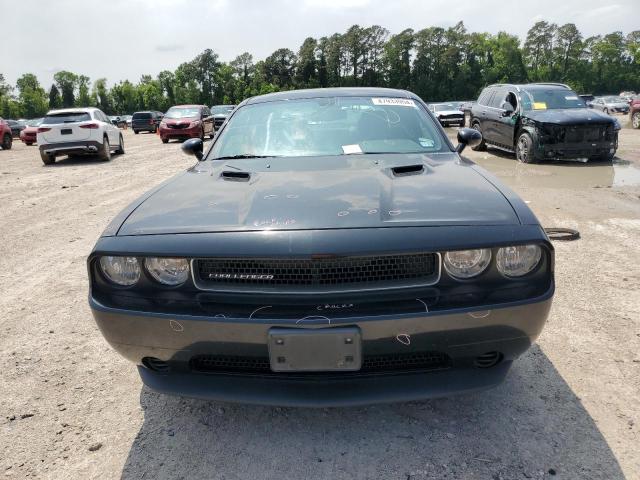 2012 Dodge Challenger Sxt VIN: 2C3CDYAGXCH226112 Lot: 47933954