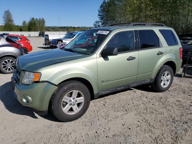 Lot #2485309695 2009 FORD ESCAPE HYB salvage car
