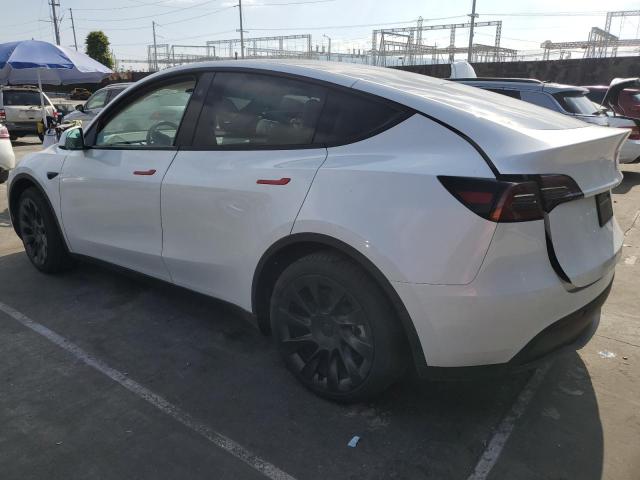 2023 Tesla Model Y VIN: 7SAYGAEE8PF916948 Lot: 50762284