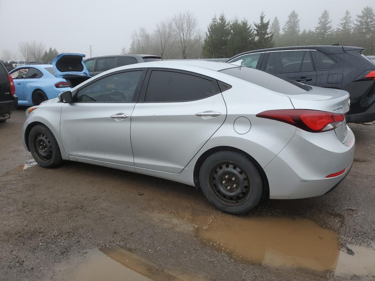 5NPDH4AEXEH516288 2014 Hyundai Elantra Se