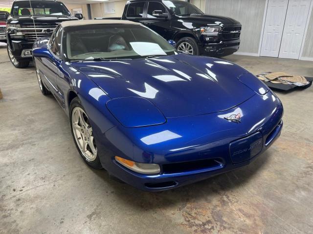 Lot #2456966651 2004 CHEVROLET CORVETTE salvage car