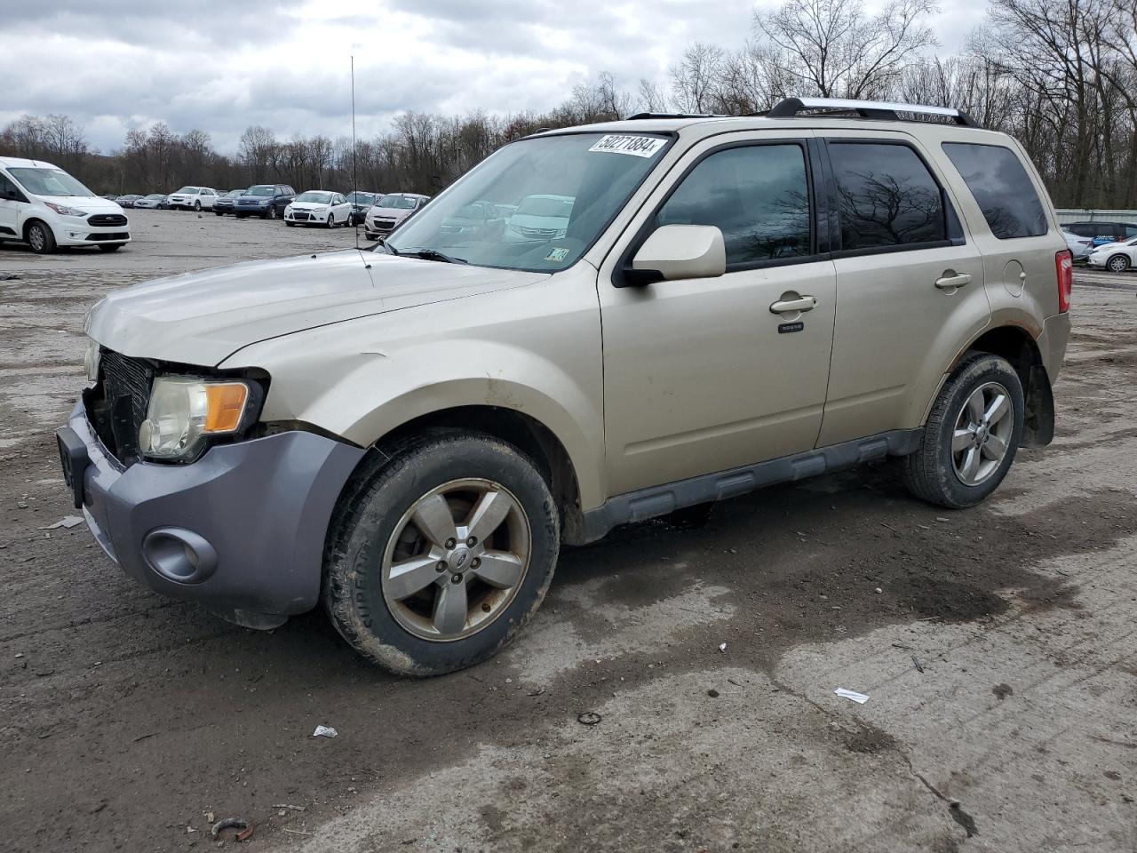 1FMCU9EG2BKB71329 2011 Ford Escape Limited