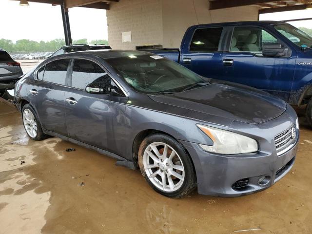 2010 Nissan Maxima S VIN: 1N4AA5AP4AC804947 Lot: 50251244