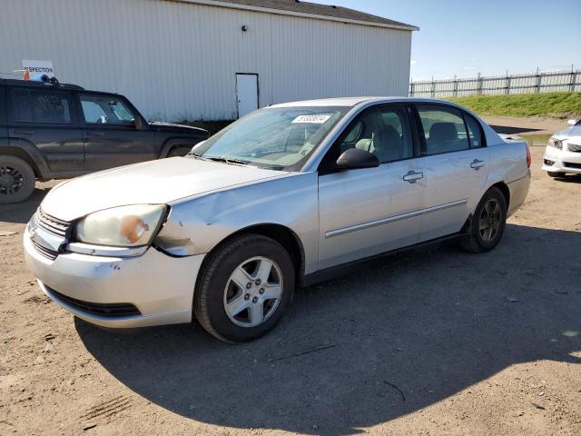 2005 Chevrolet Malibu Ls VIN: 1G1ZT54805F175440 Lot: 51333614