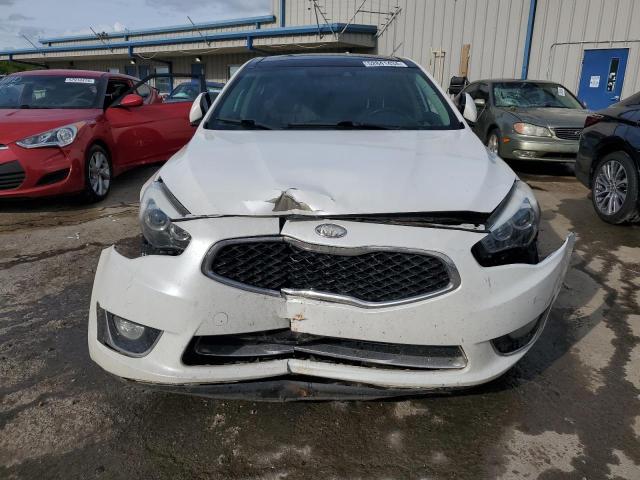2014 Kia Cadenza Premium VIN: KNALN4D79E5127026 Lot: 52841434