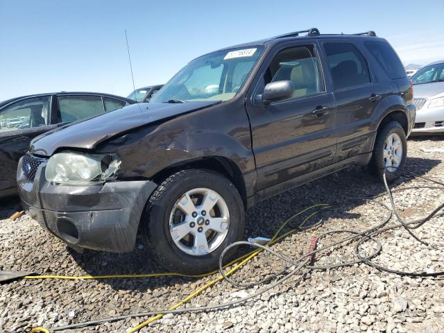 2006 Ford Escape Xlt VIN: 1FMYU93176KC34242 Lot: 51716814