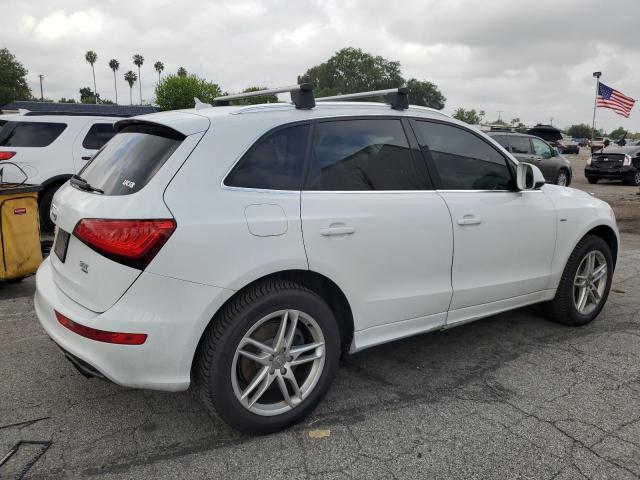 2013 Audi Q5 Premium Plus VIN: WA1DGAFP4DA024464 Lot: 51297584