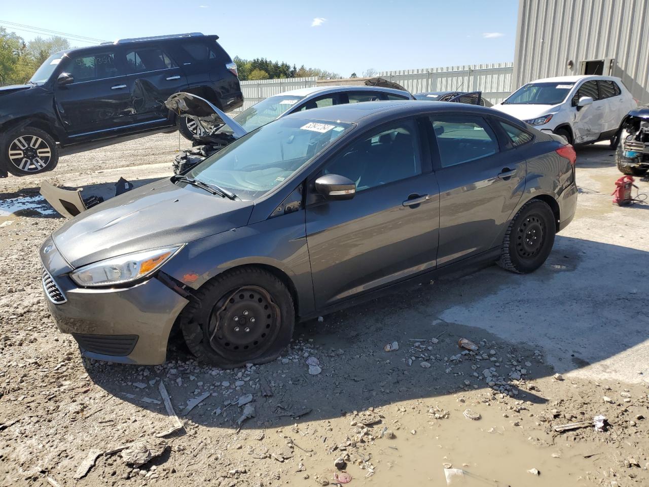 2016 Ford Focus Se vin: 1FADP3F23GL292846