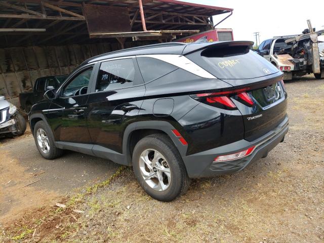 2024 Hyundai Tucson Sel VIN: 5NMJBCDE6RH316988 Lot: 52740374