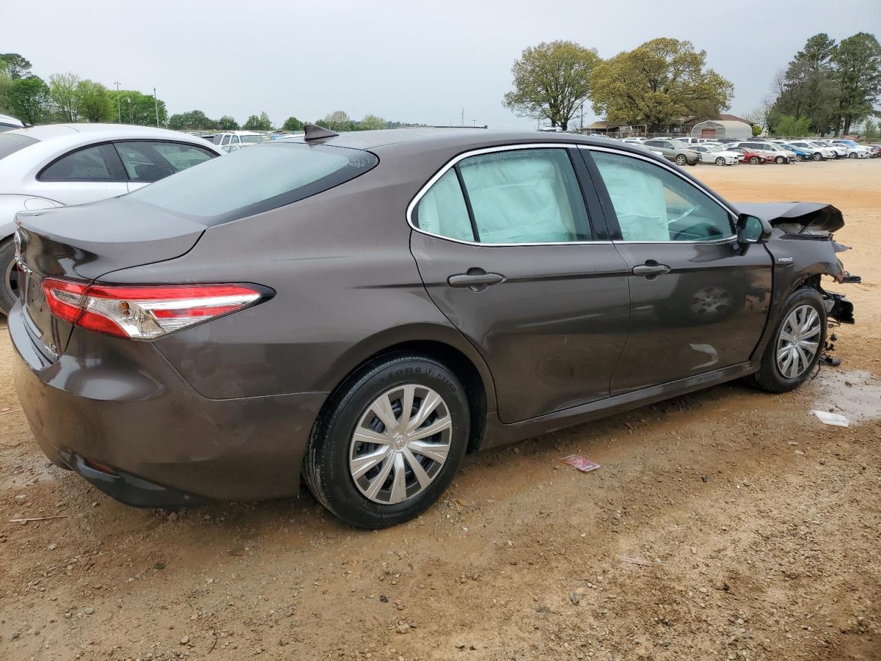 2019 Toyota Camry Le vin: 4T1B31HK6KU516365