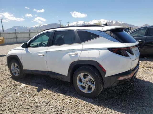 2023 Hyundai Tucson Sel VIN: 5NMJBCAE5PH228645 Lot: 51066434