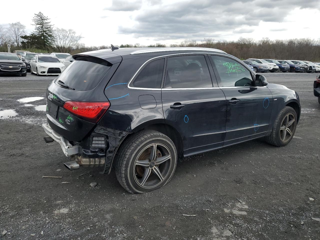 WA1DGAFP1DA038242 2013 Audi Q5 Premium Plus