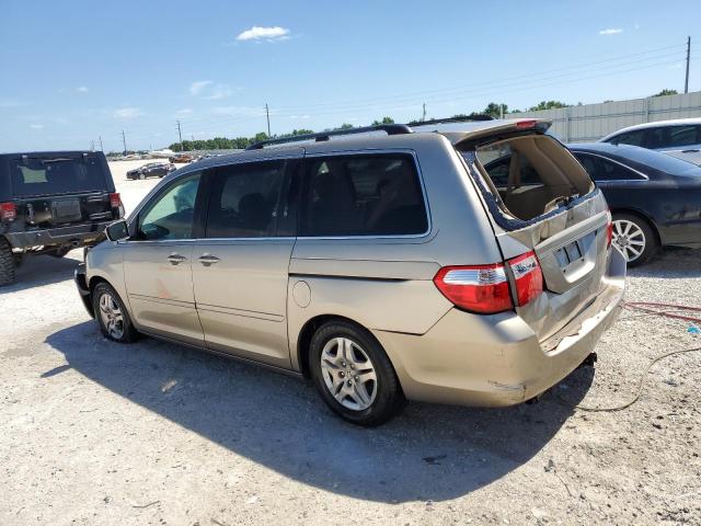 2005 Honda Odyssey Ex VIN: 5FNRL384X5B017033 Lot: 52086964