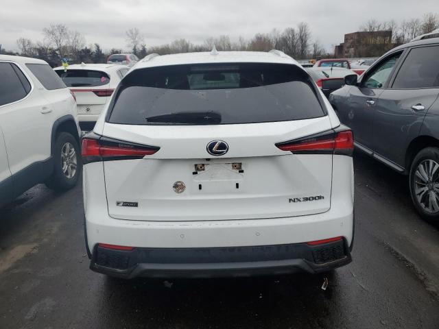 2021 LEXUS NX 300H BA - JTJSJRDZ8M5013572