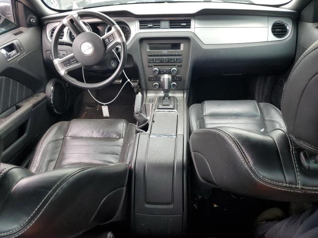 2013 Ford Mustang VIN: 1ZVBP8AM7D5251172 Lot: 48249174