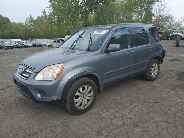 2006 Honda Cr-V Se VIN: JHLRD78906C057509 Lot: 52084024