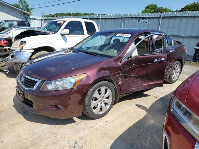 2010 Honda Accord Exl VIN: 5KBCP3F83AB013241 Lot: 53086544