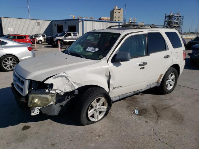 Lot #2461552333 2010 FORD ESCAPE HYB salvage car
