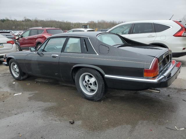 1983 Jaguar Xjs VIN: SAJNV5849DC111065 Lot: 51325844