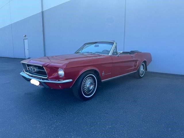 Lot #2486825369 1967 FORD MUSTANG salvage car