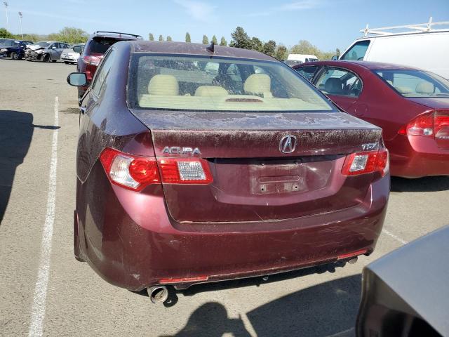 2009 Acura Tsx VIN: JH4CU26609C024883 Lot: 51919534