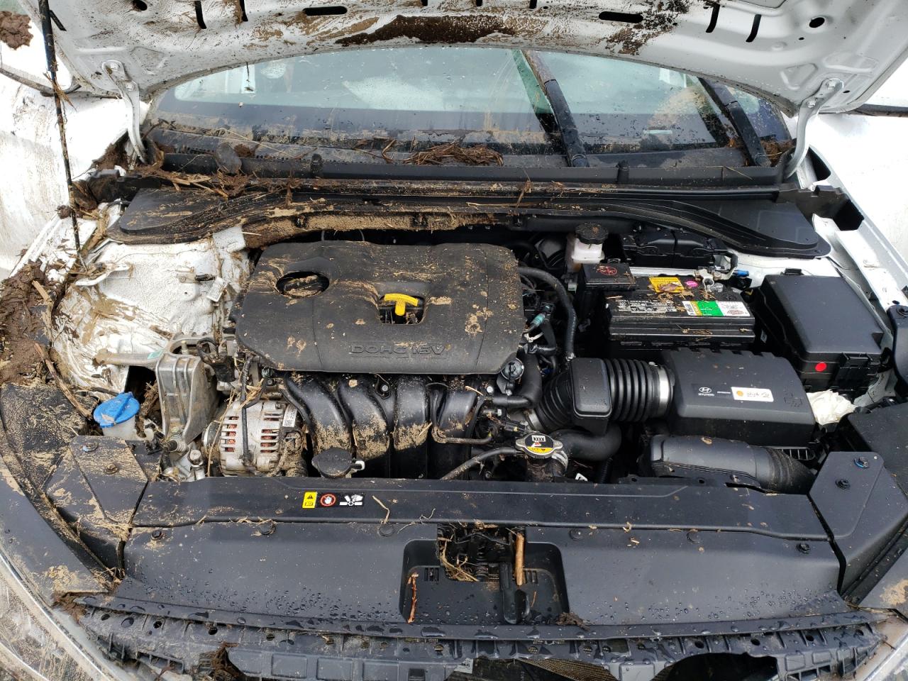 5NPD74LF4KH443388 2019 Hyundai Elantra Se