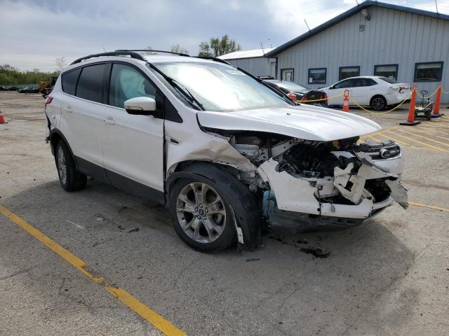 2013 Ford Escape Sel VIN: 1FMCU0HX7DUD50464 Lot: 51419324