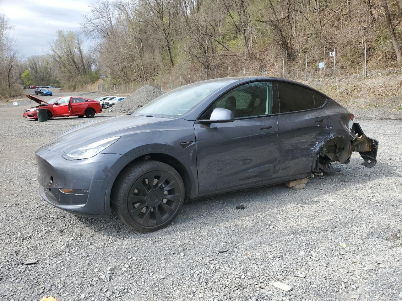 TESLA MODEL Y