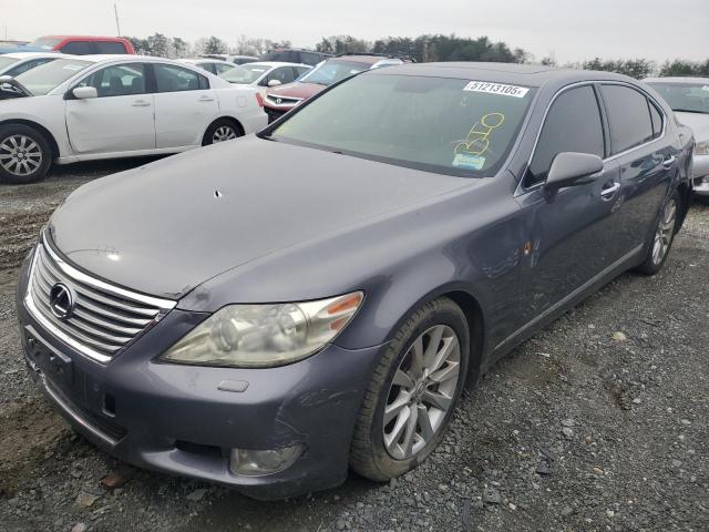 Vin: jthdl1ef7c5004094, lot: 51213105, lexus ls460 460l 2012 img_1