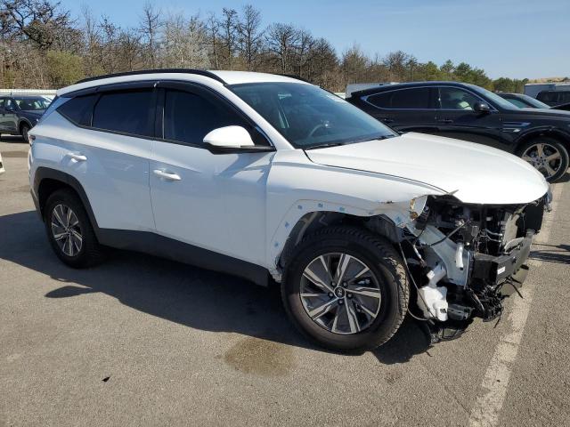 Vin: km8jbcd13ru194897, lot: 55205145, hyundai tucson blue 20244