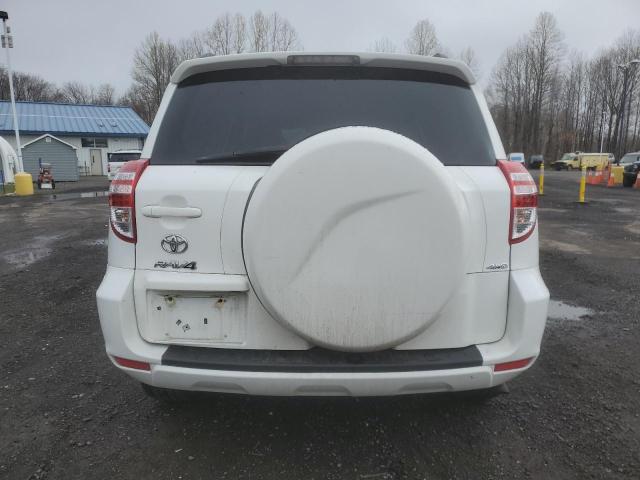 2012 TOYOTA RAV4 - 2T3BF4DV5CW263735