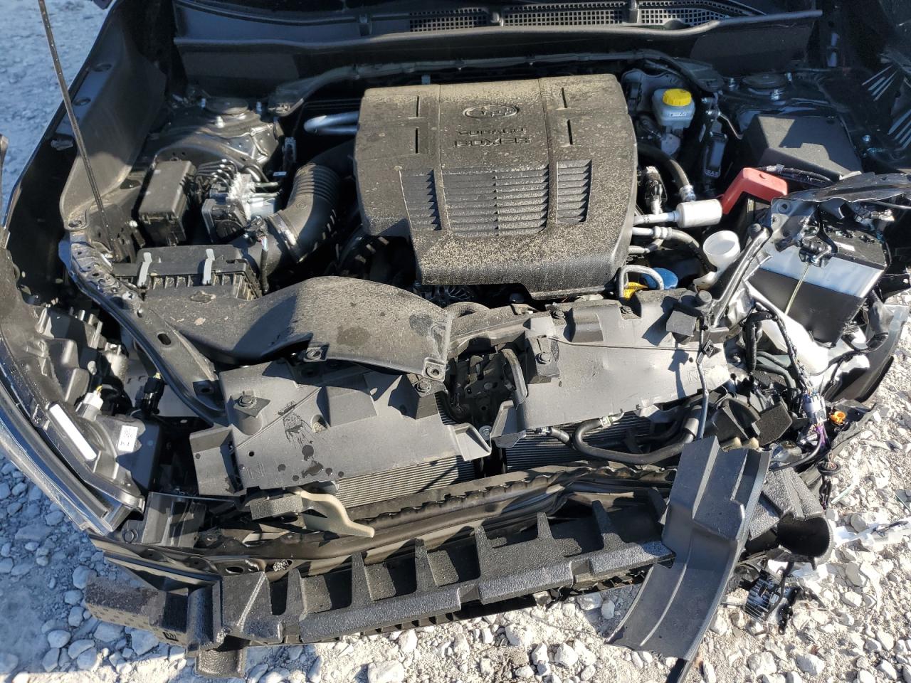 SUBARU FORESTER WILDERNESS