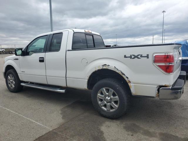 Vin: 1ftfx1et4dfd31973, lot: 53285255, ford f-150 super cab 20132