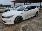 2017 KIA OPTIMA LX - 5XXGT4L36HG124383