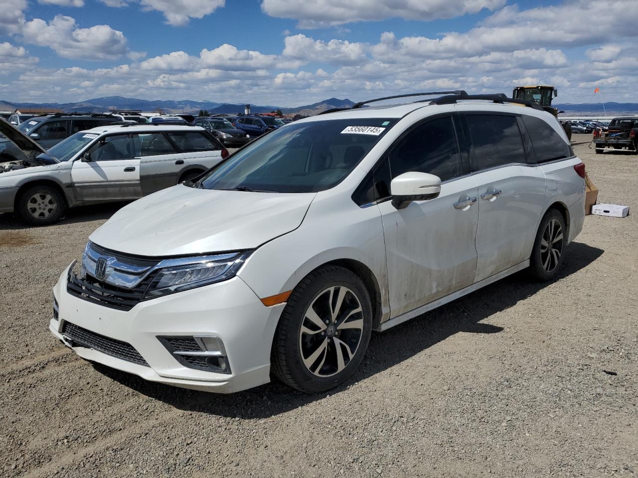 HONDA ODYSSEY ELITE