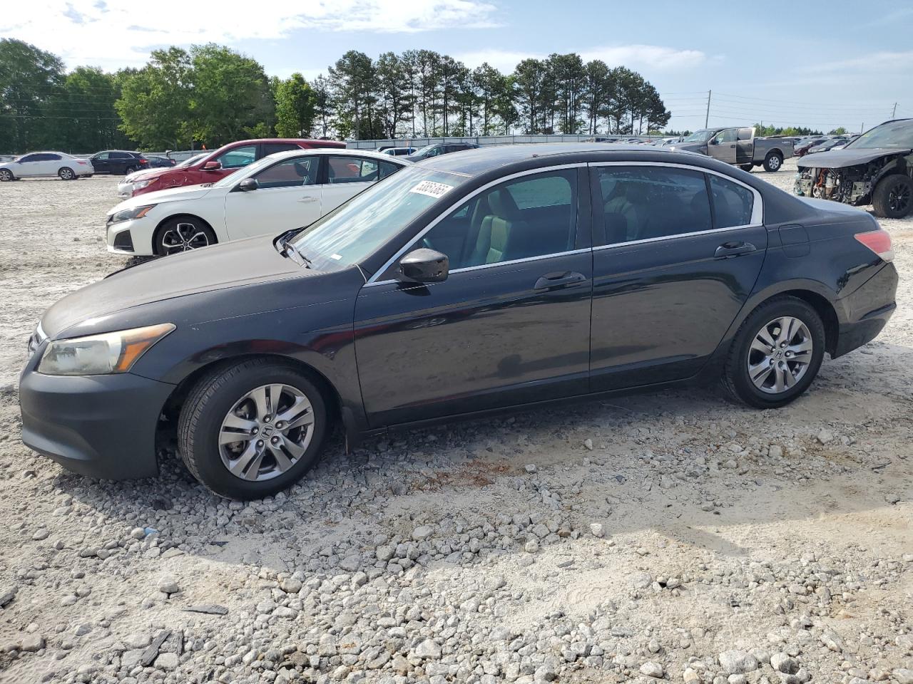 HONDA ACCORD SE