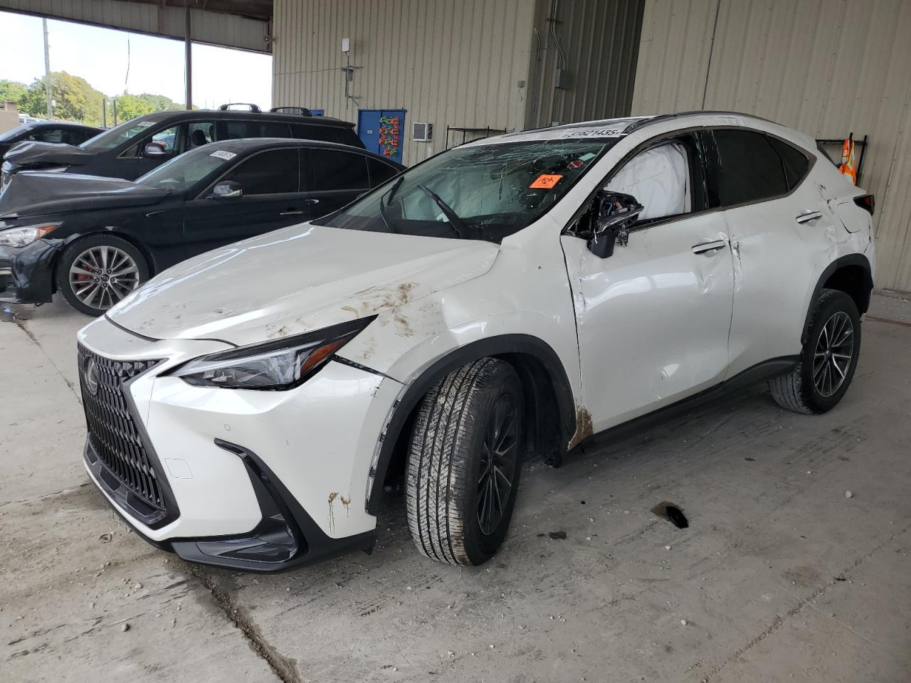 LEXUS NX 250 PREMIUM