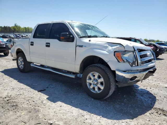Vin: 1ftfw1ef2dfd80408, lot: 53316675, ford f-150 supercrew 20134