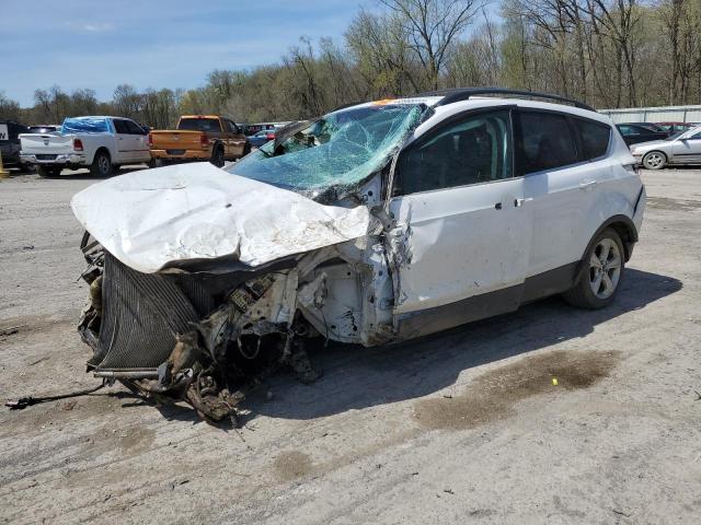 Vin: 1fmcu9gx2eua51469, lot: 53998895, ford escape se 2014 img_1
