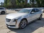 Top Destinations for Shipping Cars from the USA