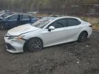 Top Destinations for Shipping Cars from the USA