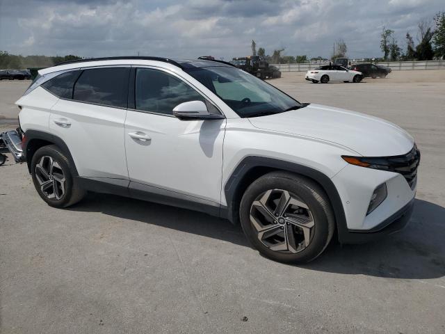 Vin: 5nmje3ae8ph229246, lot: 52562535, hyundai tucson limited 20234